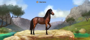 garrano.jpg